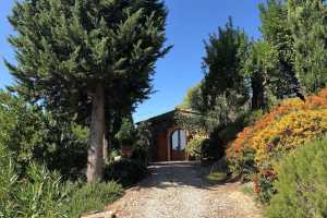 Holiday in this spectacular farmhouse for rent in Castellina in Chianti in the province of Siena in Tuscany with a swimming pool 